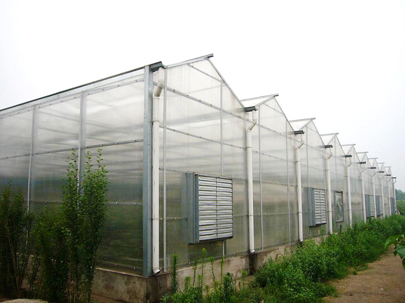 陽(yáng)光板溫室