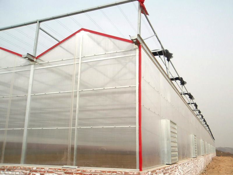 陽(yáng)光板溫室