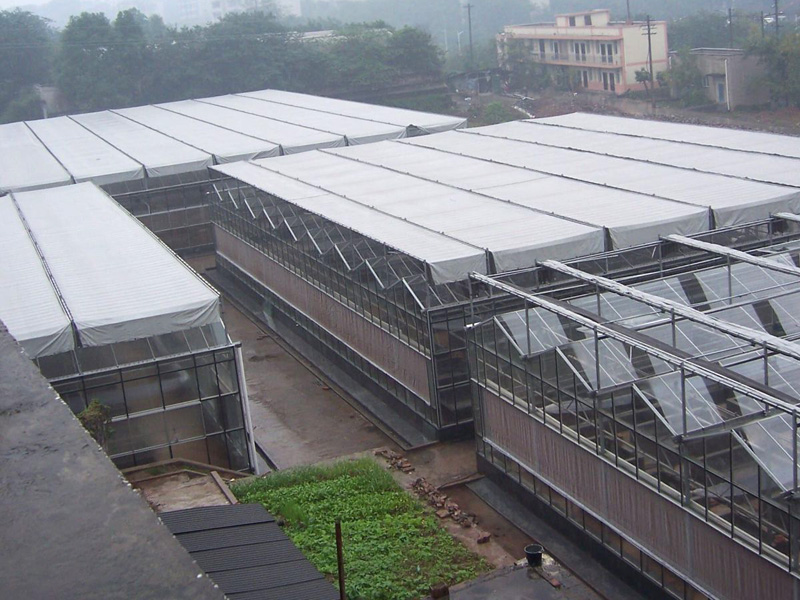 陽(yáng)光板溫室