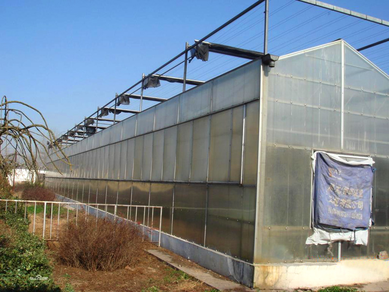 陽(yáng)光板溫室