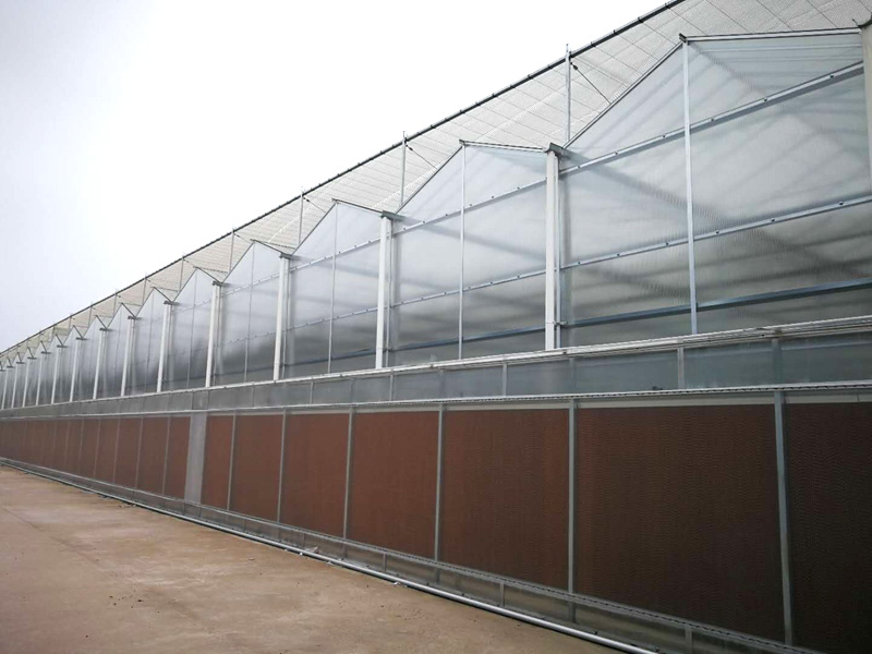 陽(yáng)光板溫室