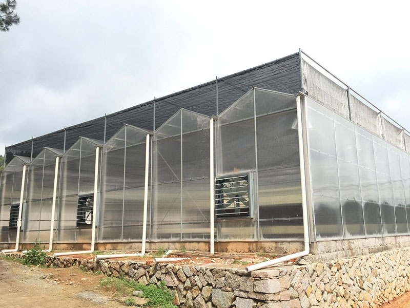 陽(yáng)光板溫室